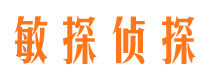 岳阳市侦探调查公司